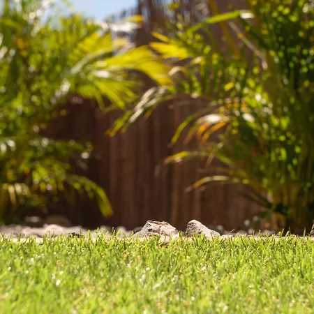 Tunos 83 Maspalomas (Gran Canaria)