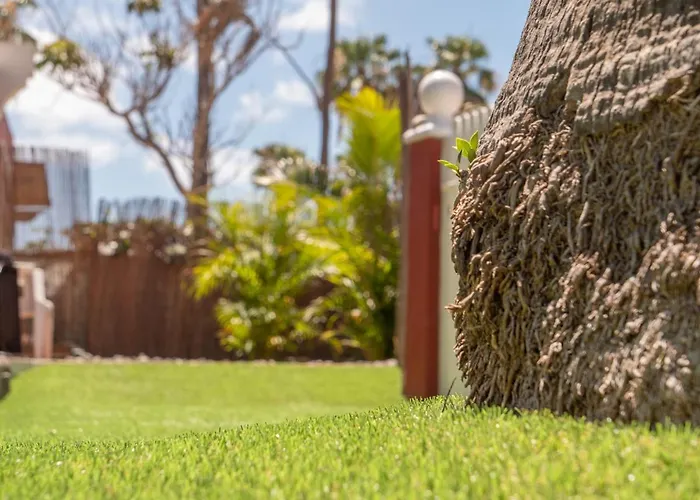 Tunos 83 بيت للعطل ماسبالوماس