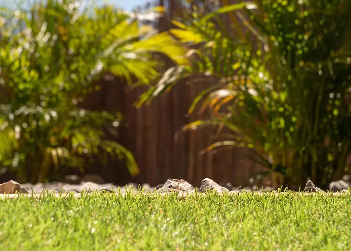 Tunos 83 ماسبالوماس