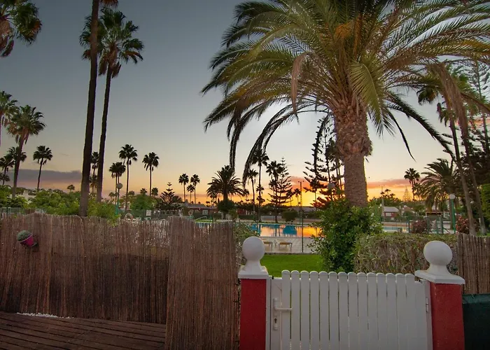 Tunos 83 ماسبالوماس